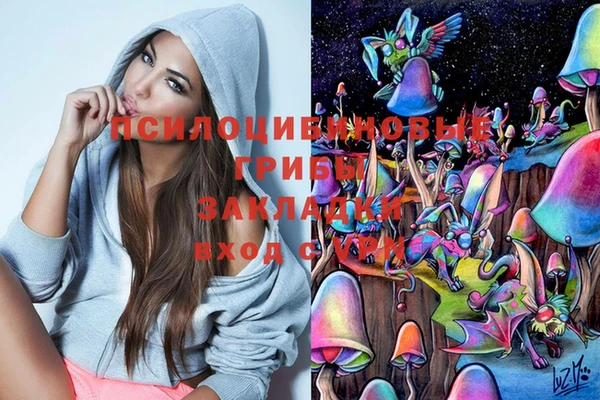 синтетический гашиш Киреевск