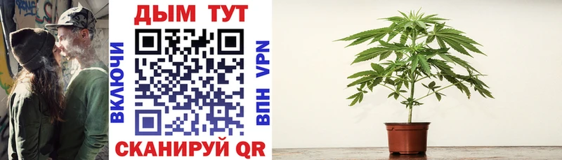 Канабис индика  Купить где  Белебей 